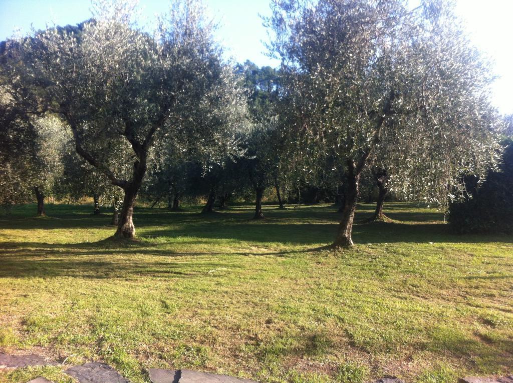 Appartamenti Borgo San Pietro Deiva Marina Exterior foto