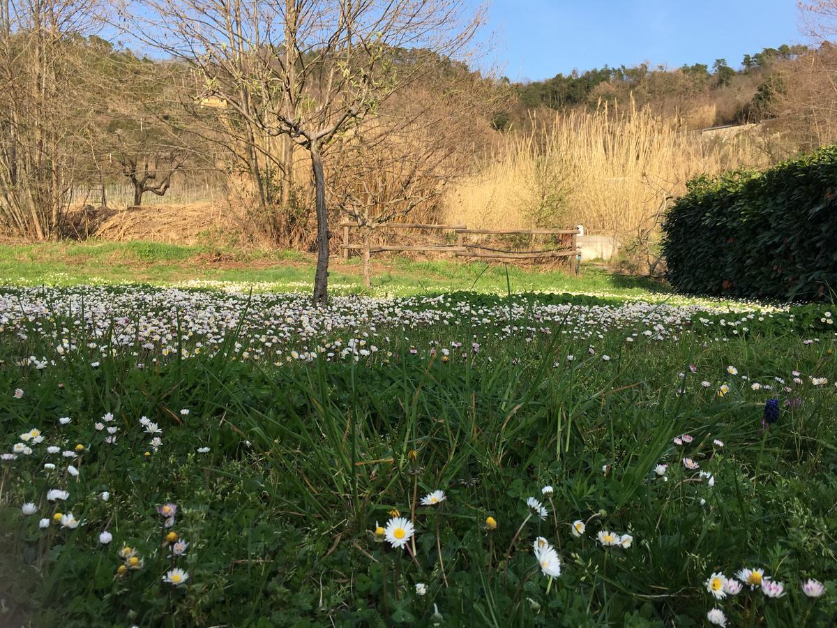 Appartamenti Borgo San Pietro Deiva Marina Exterior foto